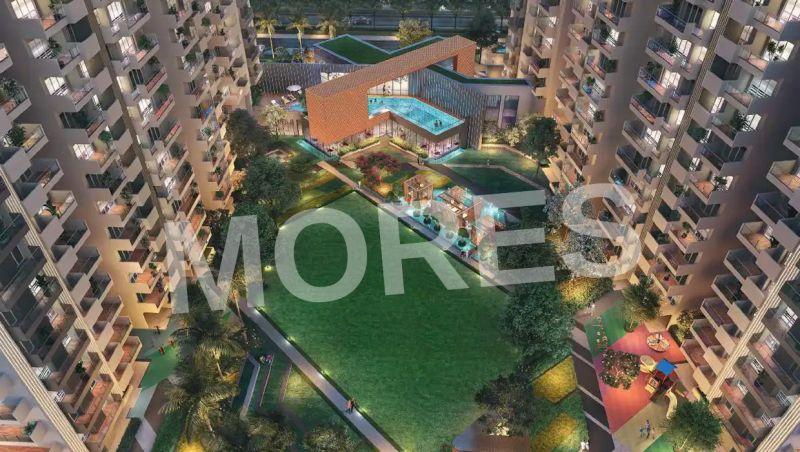 Elite X Amenities