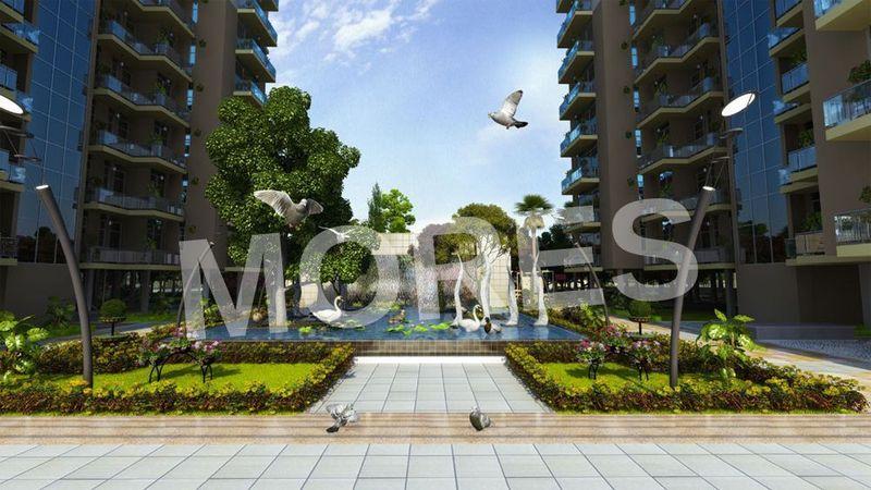 Emenox La solara Amenities