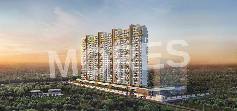Sky Mansion By Risland Amenities