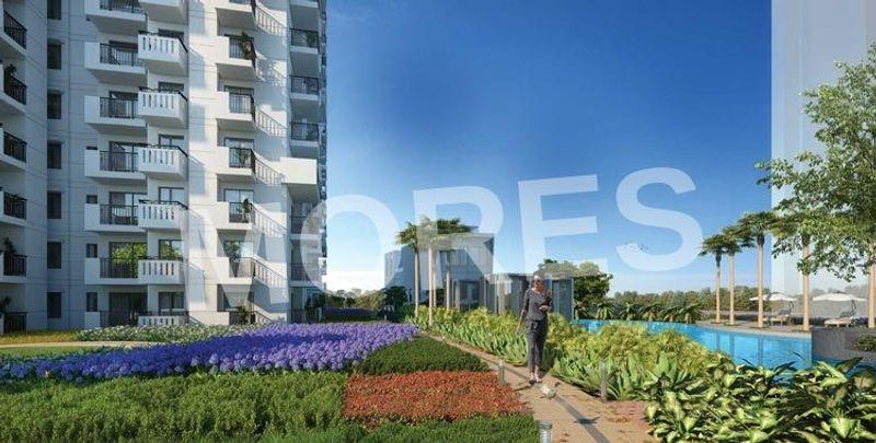 M3M Natura Amenities