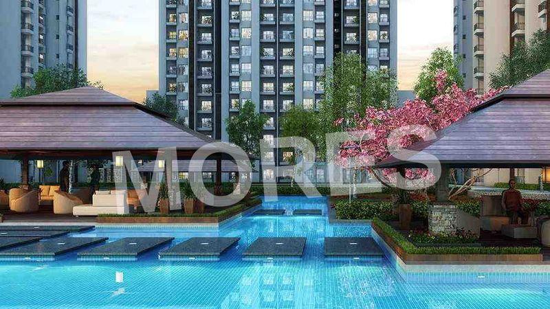 Apex Aura Amenities