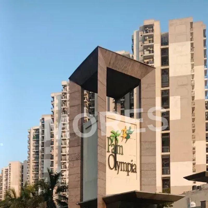 Palm Olympia Amenities