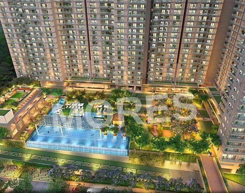 DLF Arbour
