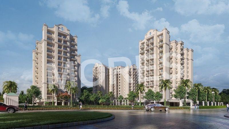 Oro Elements Amenities