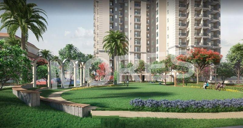 Oro Elements Amenities