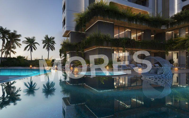 Dalcore the Falcon Amenities