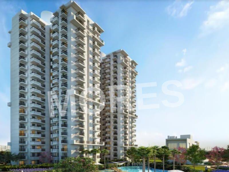 M3M Flora Amenities