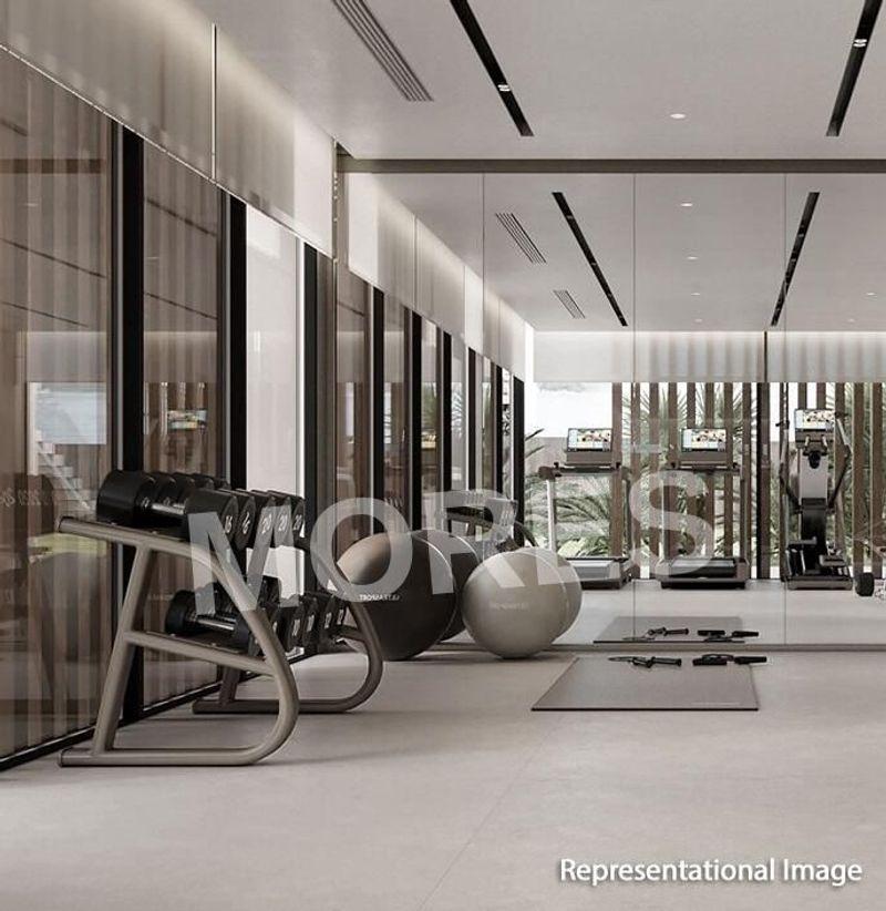 Dynamix Luma Amenities