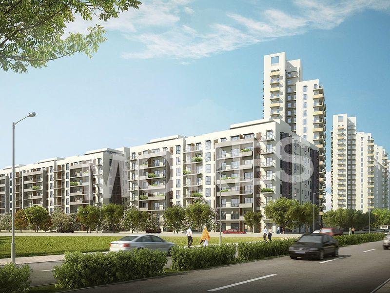 Vatika Seven Elements Amenities