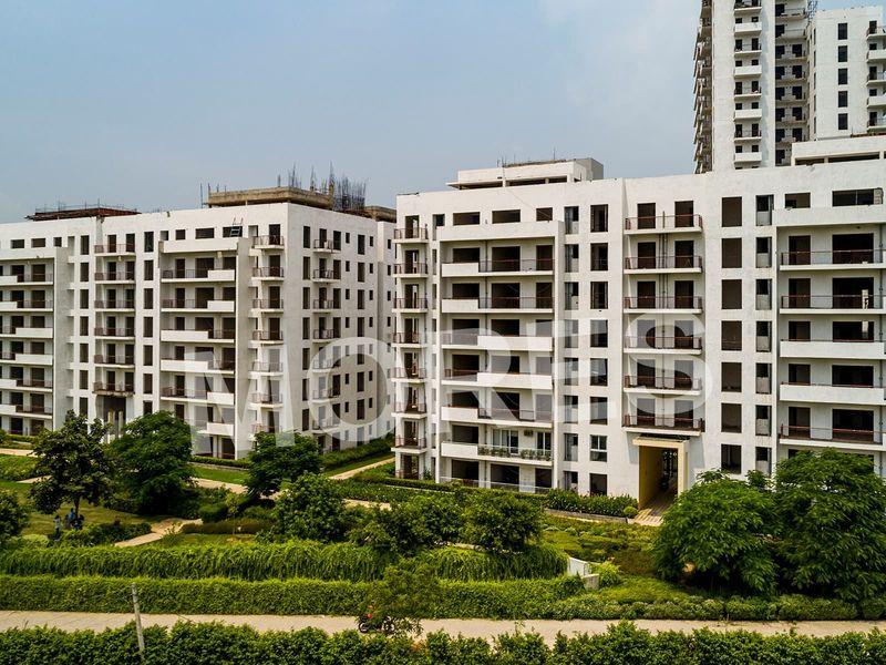 Vatika Seven Elements Amenities
