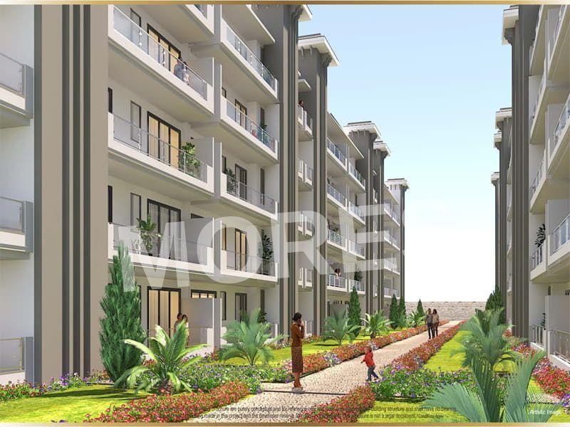 Aspire Nirala Gold