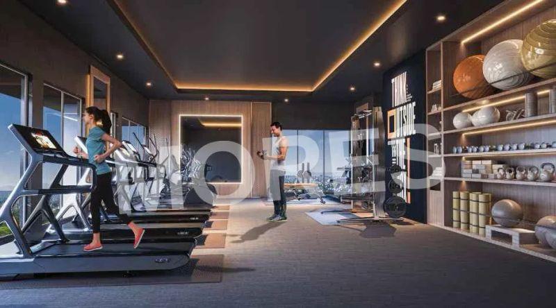 Satviki Horizon Amenities