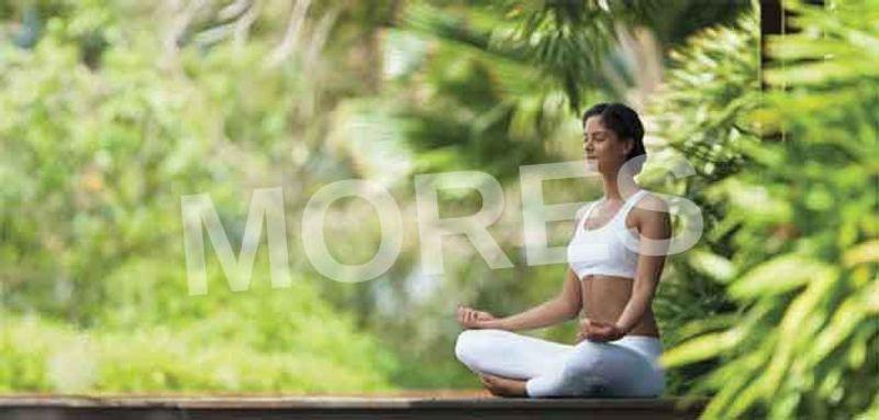 Konark Vaayu Amenities
